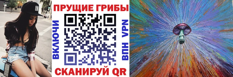 Галлюциногенные грибы мицелий Поронайск